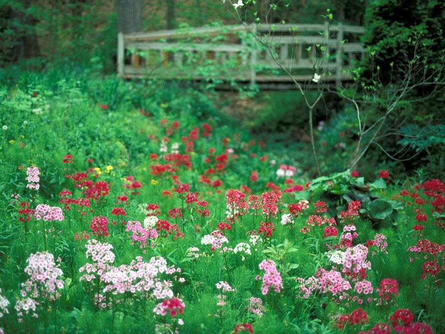 Picture of Fernwood Botanical Garden