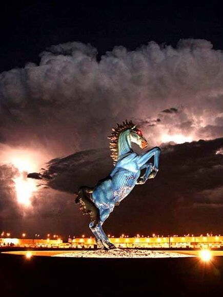Picture of Flying?