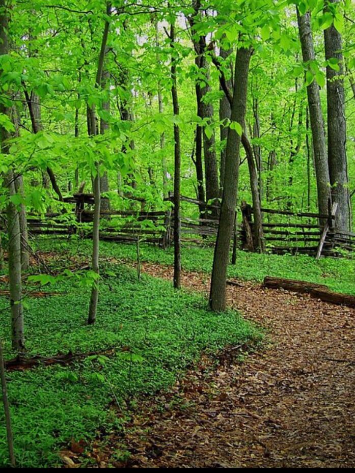 Picture of Parks And Nature