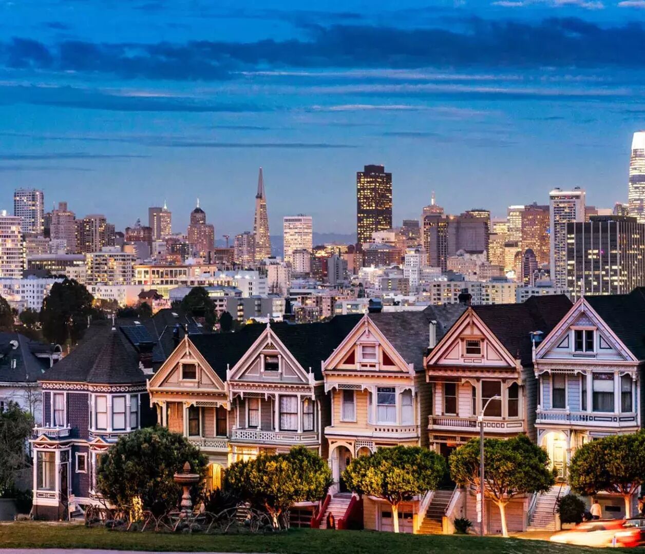 Picture of What to do in the Bay Area?
