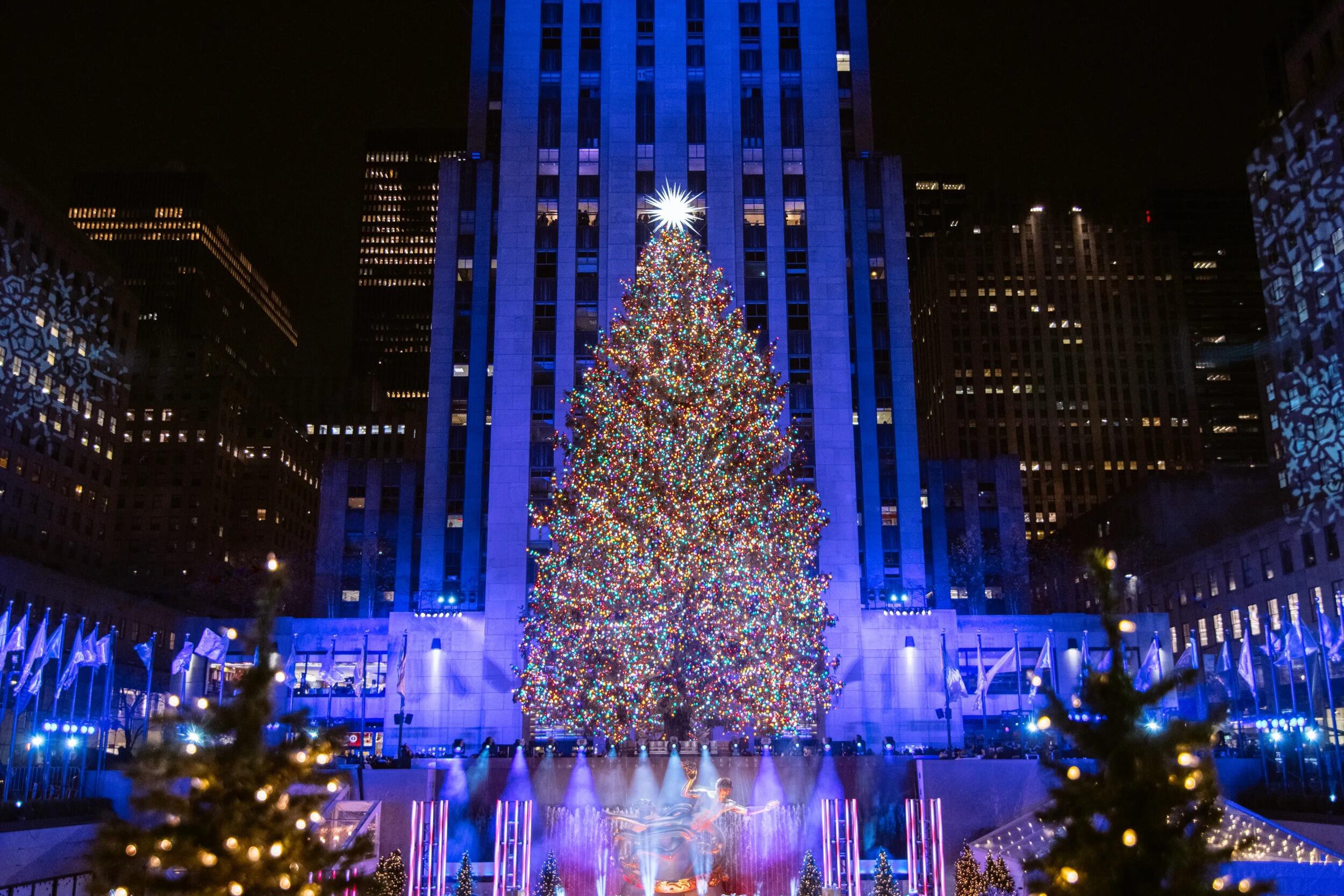 Picture of The Tree & Rink At Rockefeller Center