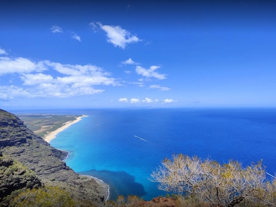 Picture of Polihale Beach Lookout
