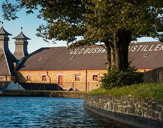 Picture of Old Bushmills Distillery
