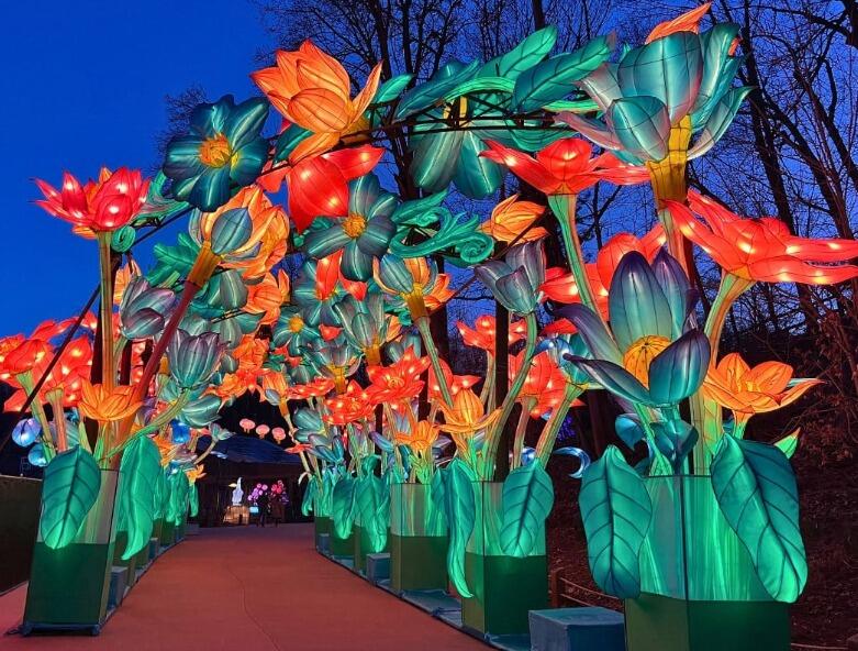 Picture of Grand Rapids Lantern Festival @ John Ball Zoo