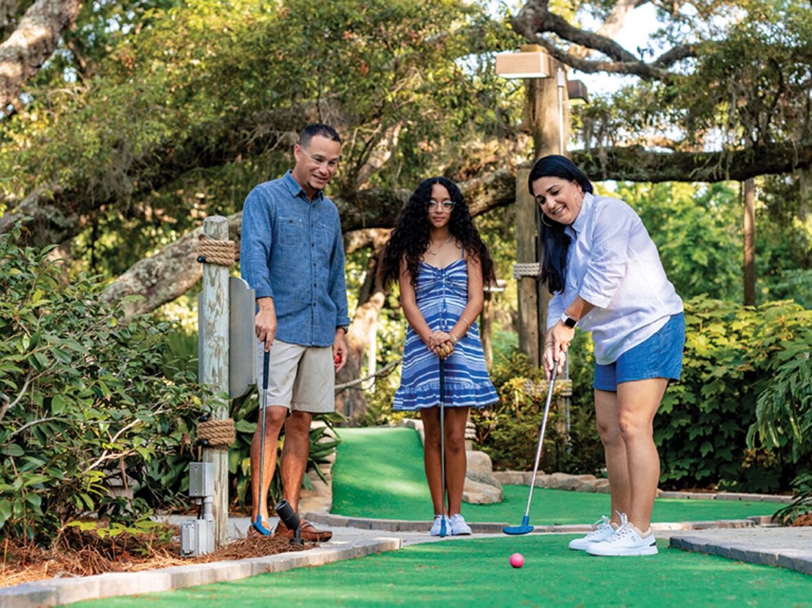 Picture of Mini Golf: Heron's Cove Adventure Golf