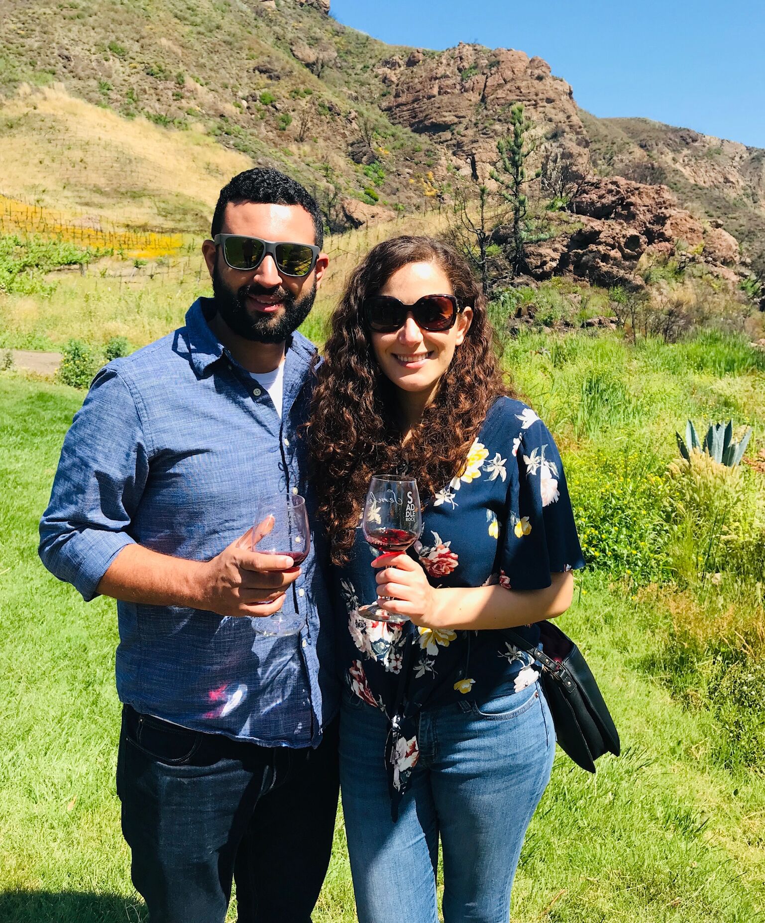 Picture of Malibu Wine Safari