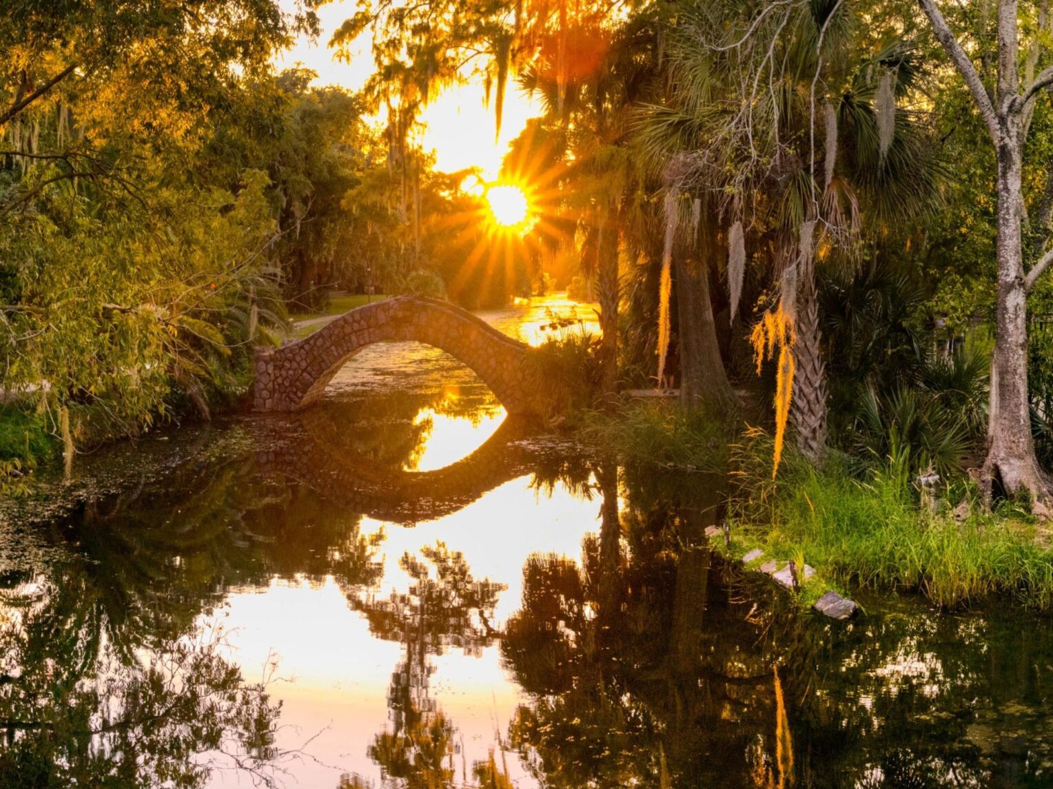 Picture of New Orleans City Park