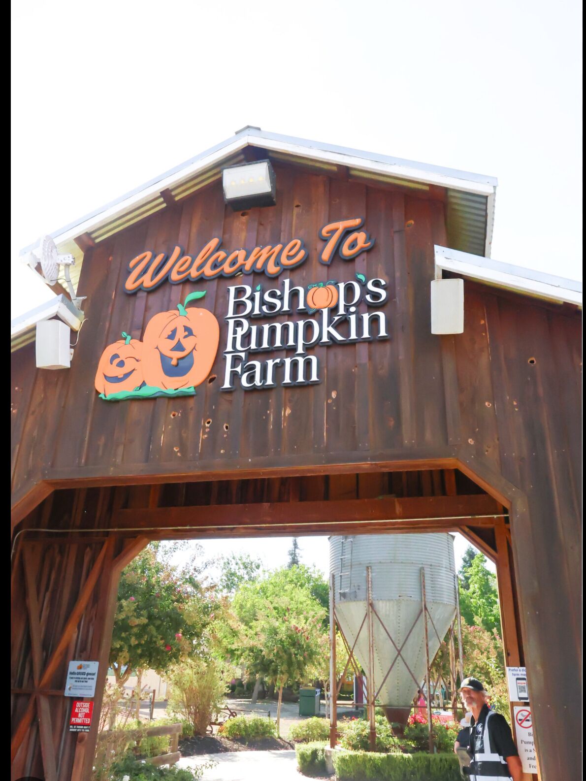 Picture of Bishops Pumpkin Farm