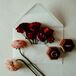 Pink and Red Ranunculus Flowers in Envelope