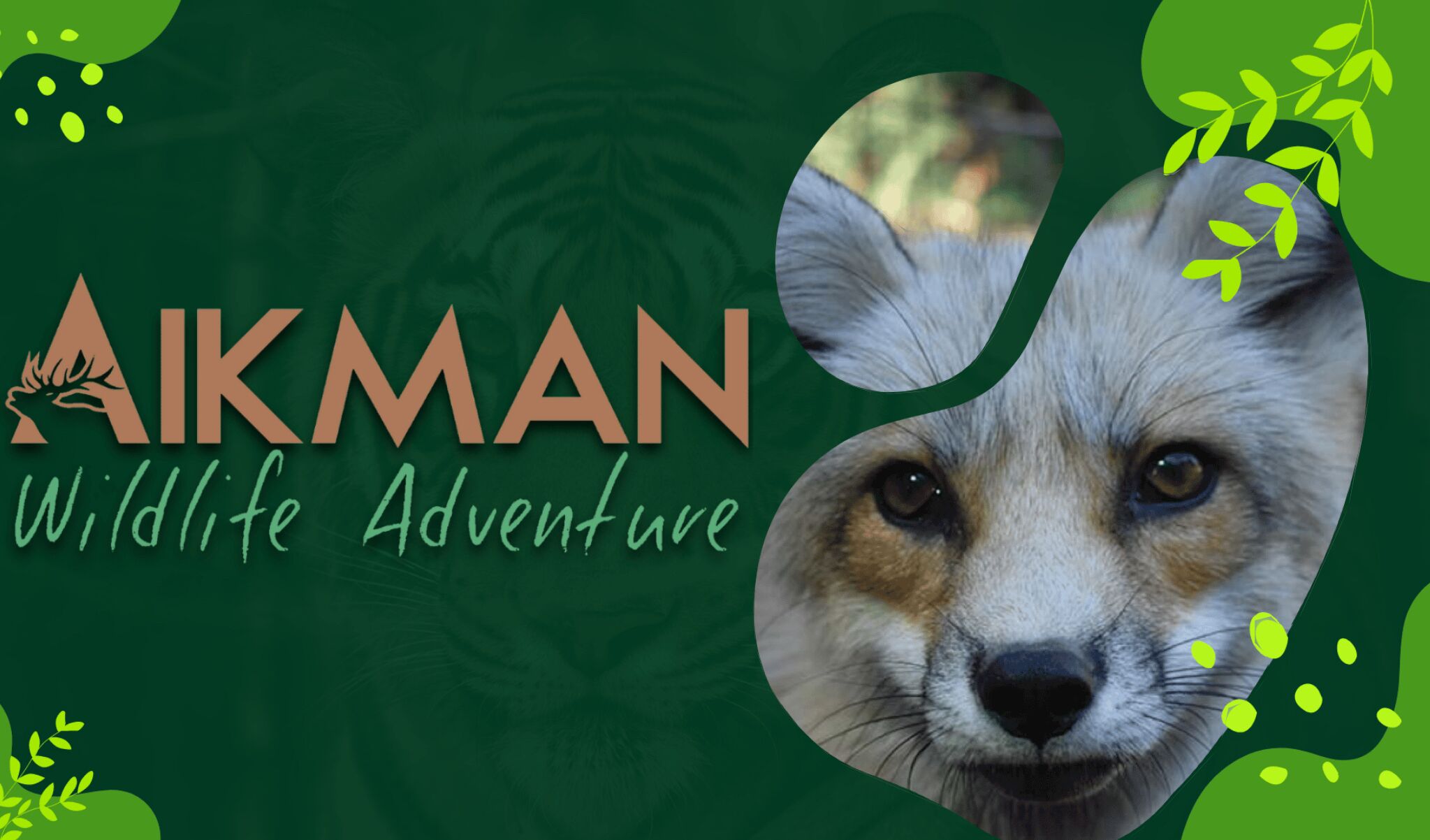 Picture of Aikman Wildlife