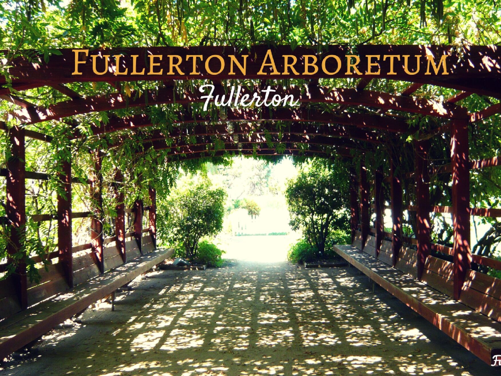 Picture of Fullerton Arboretum