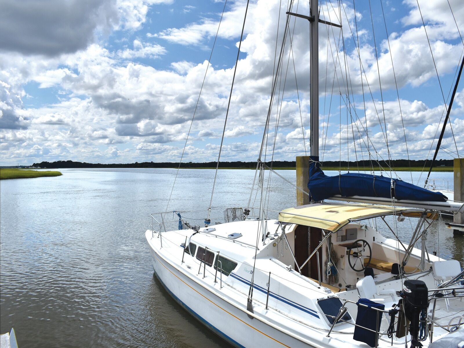 Picture of Captain Jack's Kiawah Sailing and Dolphin Watching