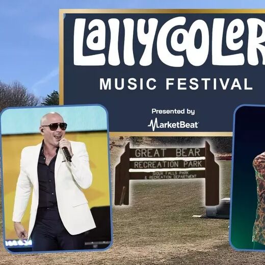 Picture of Pitbull Concert