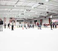 Picture of Palm Beach Skate Zone