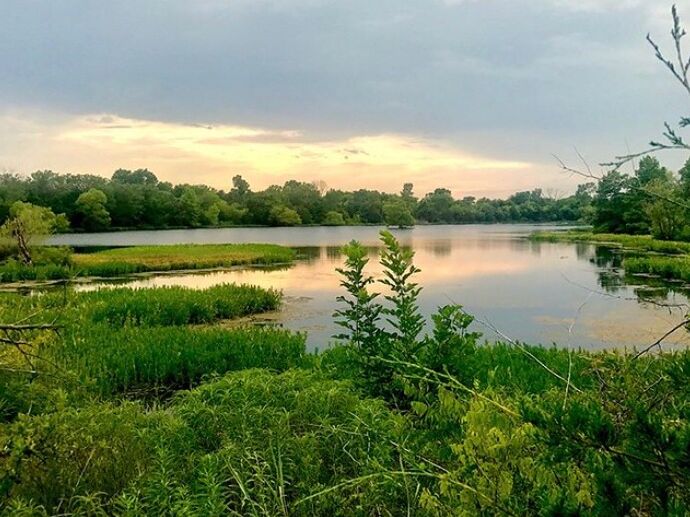Picture of Sanborn Lake Trails