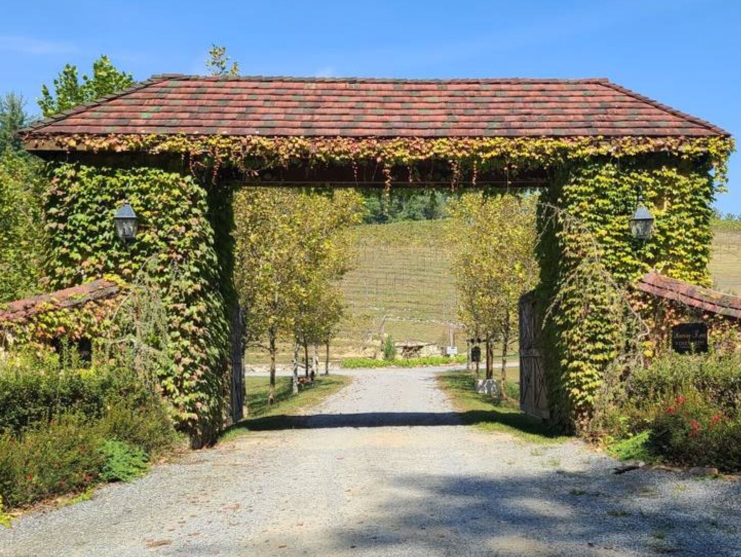 Picture of Roaring River Vineyards