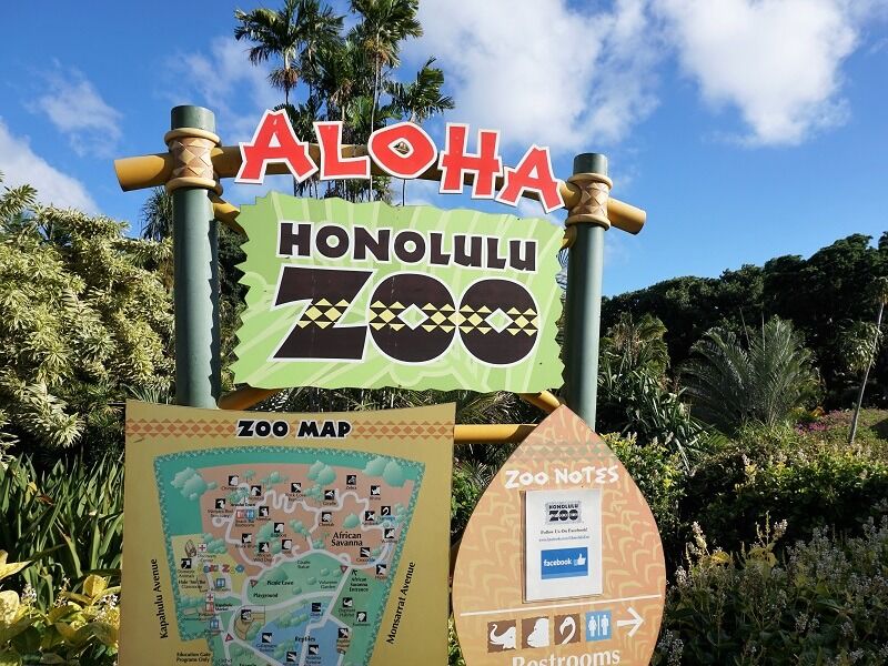 Picture of Honolulu Zoo