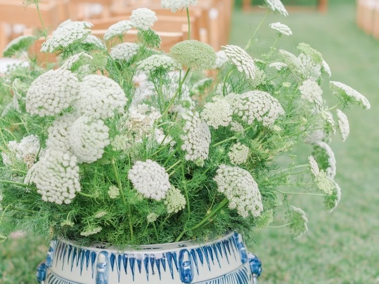 Chinoiserie vase with Queen Anne's lace