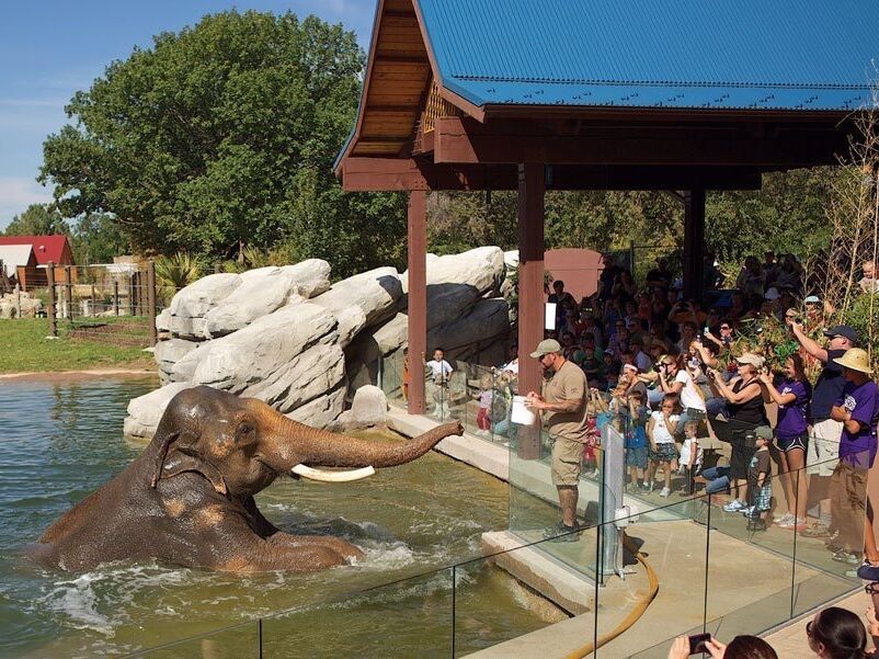 Picture of Denver Zoo