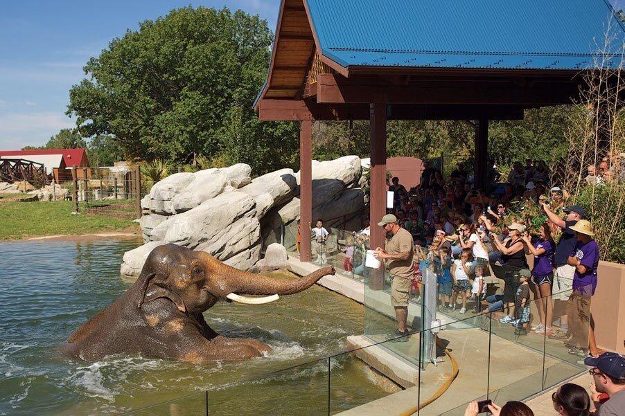 Picture of Denver Zoo
