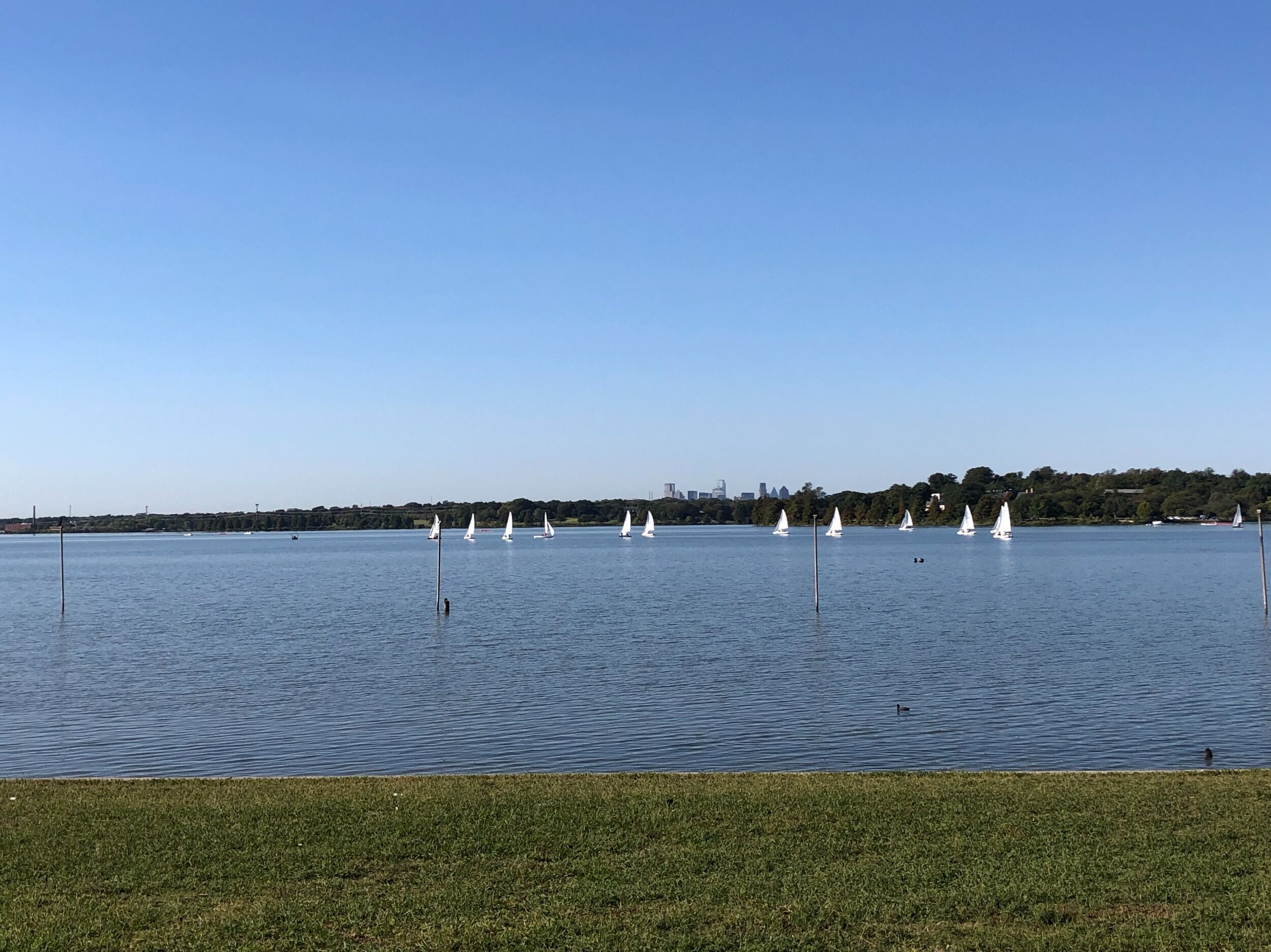 Picture of White Rock Lake