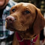 Winnie