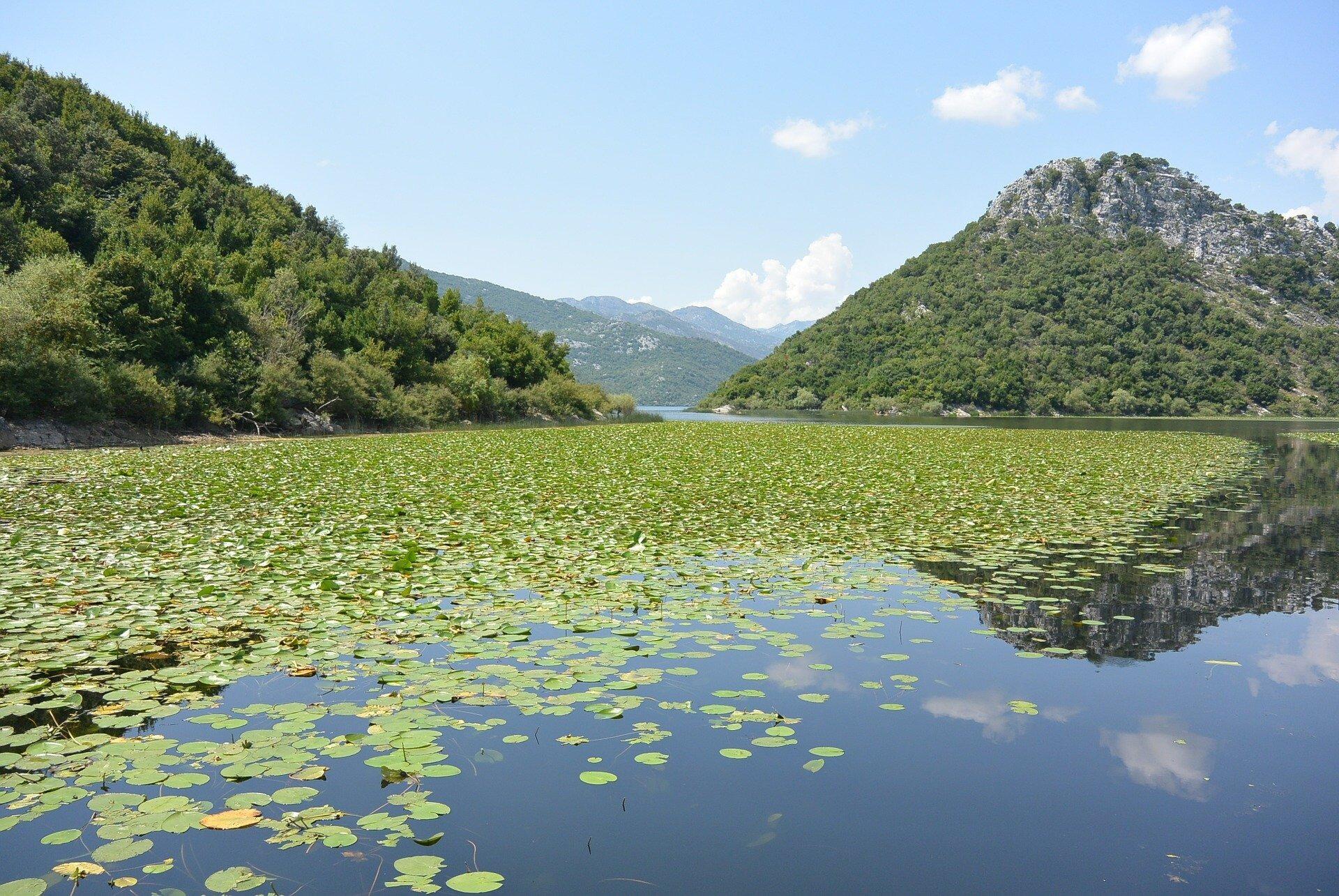 Picture of Skadar Lake Boating Tour