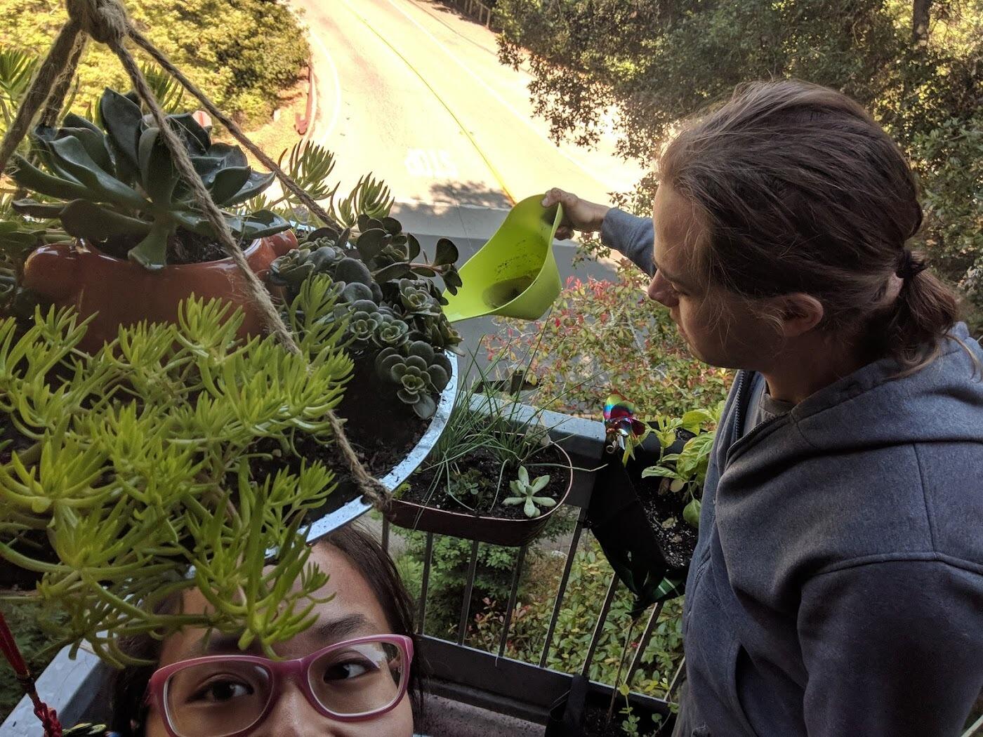 Celebrating July 4th by watering some succulents in Santa Cruz! 

Chào mừng ngày 4 tháng 7 bằng việc tưới nước cho mấy cây mọng nước!