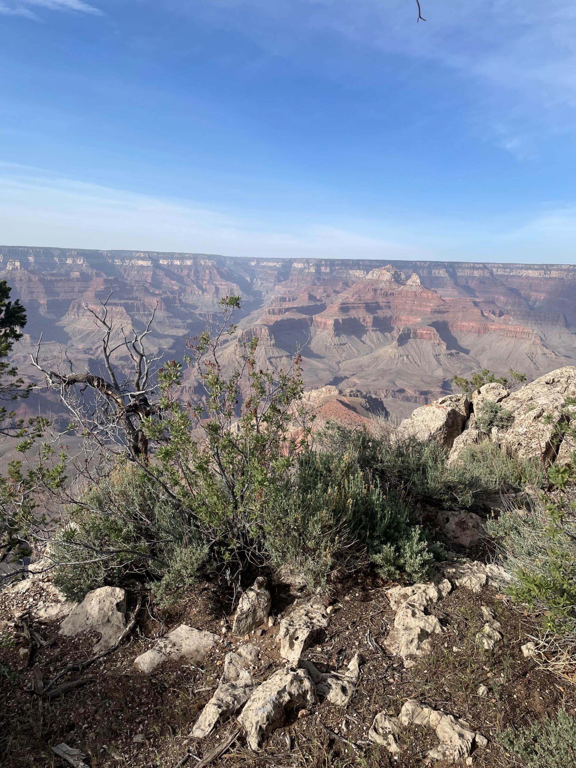 Picture of Grand Canyon National Park