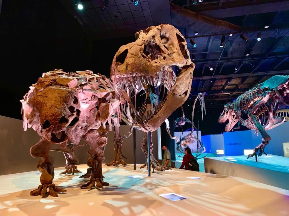 Picture of Houston Museum of Natural Science