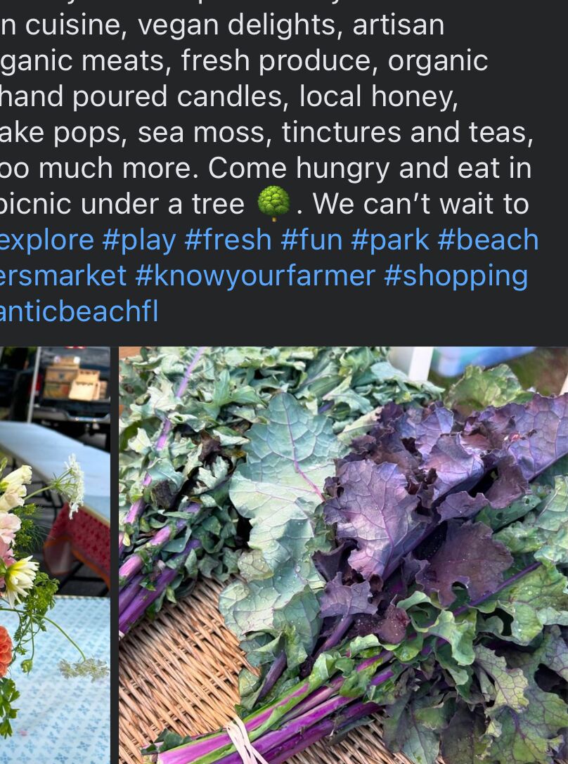 Picture of Atlantic Beach Farmers Market