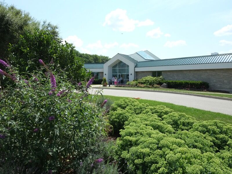 Picture of Cambridge Butterfly Conservatory