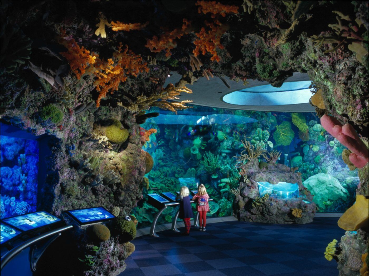 Picture of Shedd Aquarium