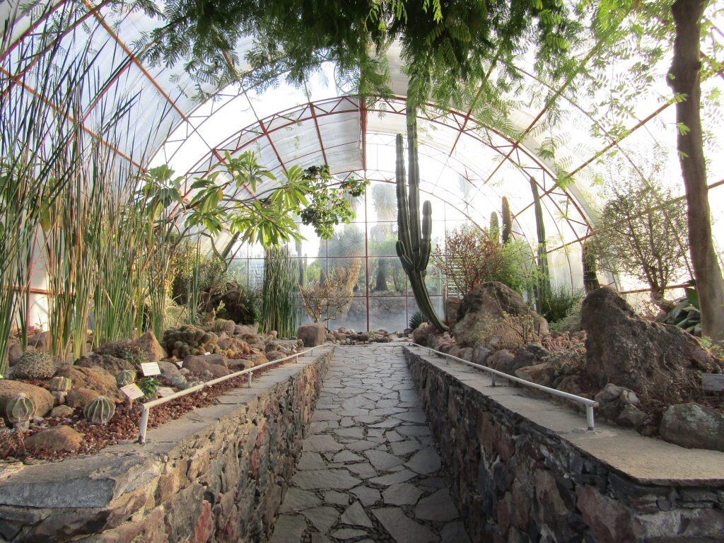 Picture of Charco del Ingenio