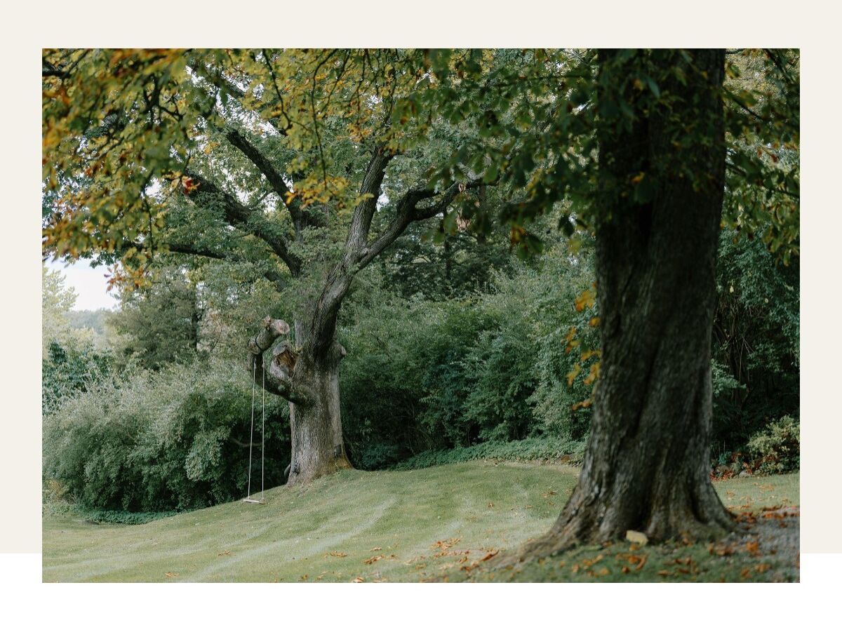 Picture of Around the Area