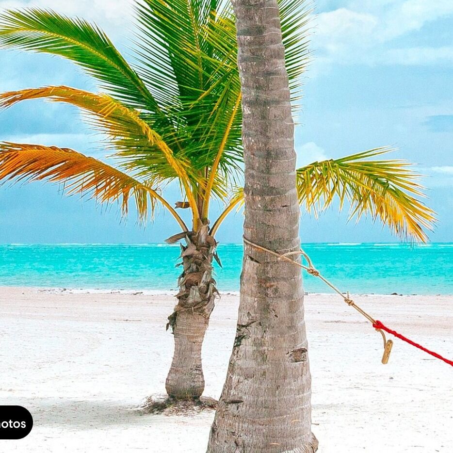 Picture of Explore Santo Domingo