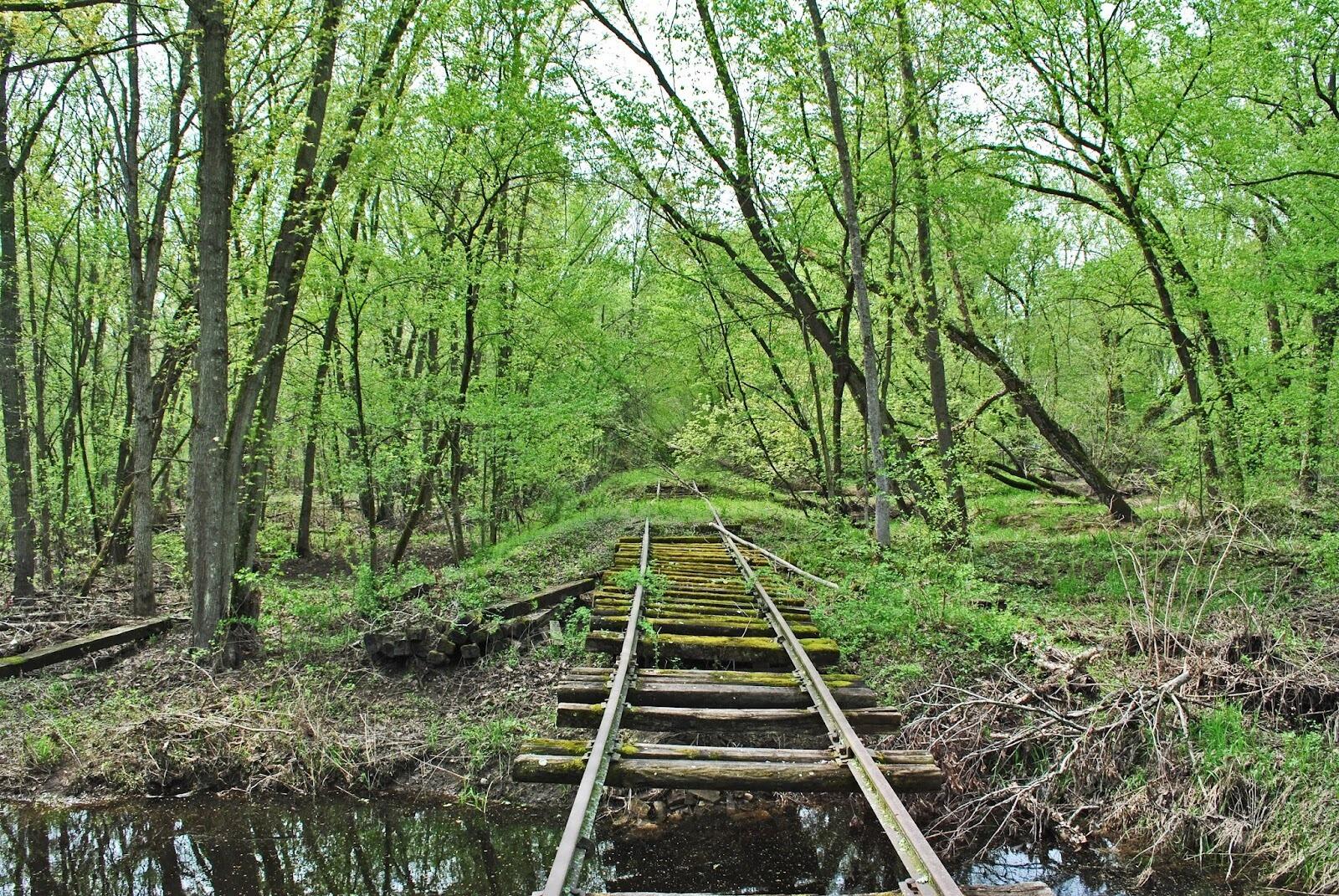 Picture of Tiffany Bottoms State Natural Area