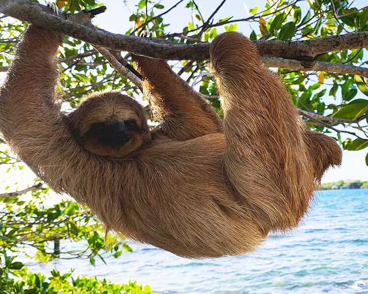 Picture of Wildlife / Animal & Educational Experiences