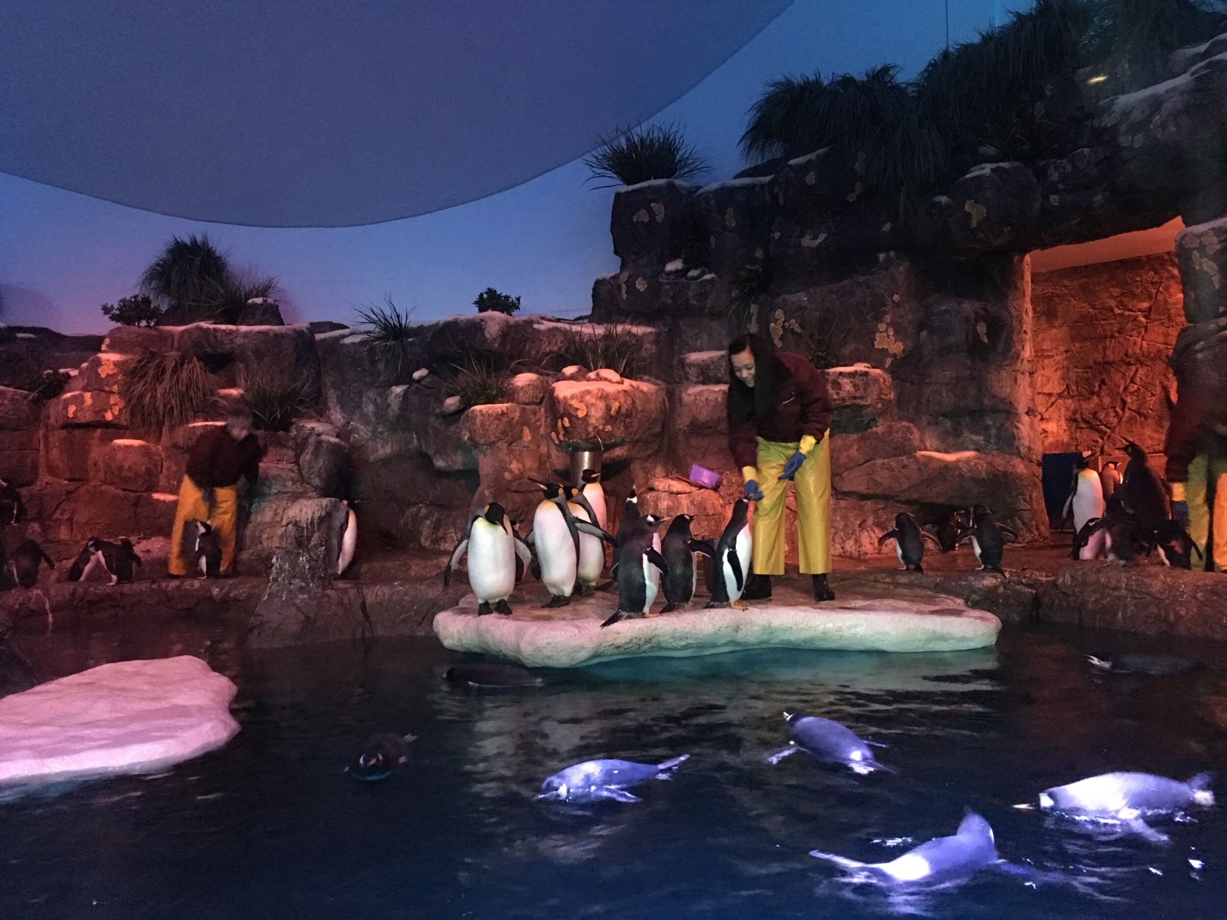 Picture of Moody Gardens