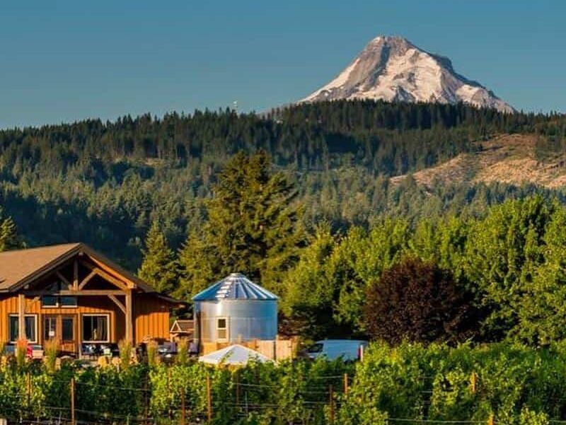 Picture of Stave & Stone Winery (Winery at the Vineyard)
