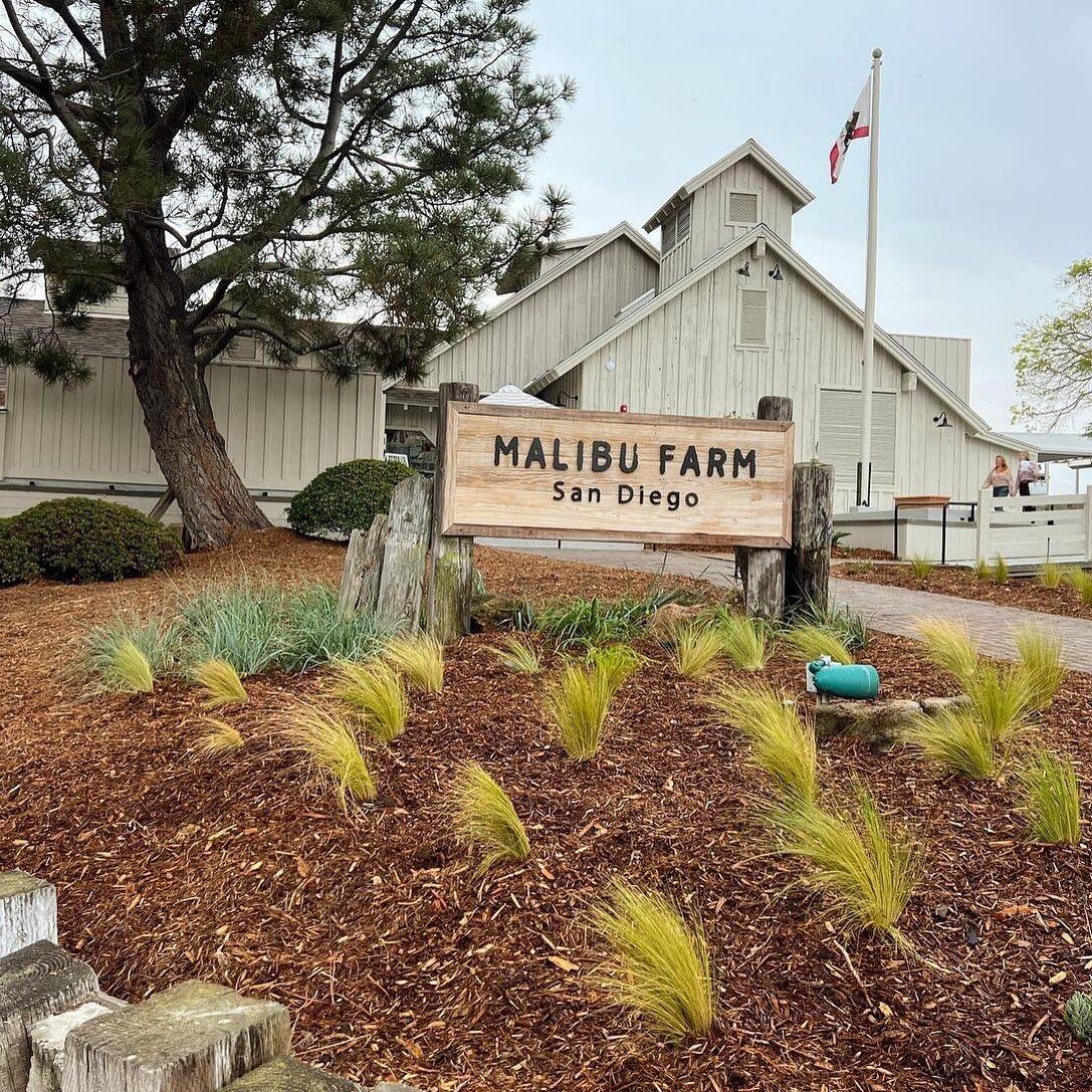 Picture of Malibu Farm San Diego
