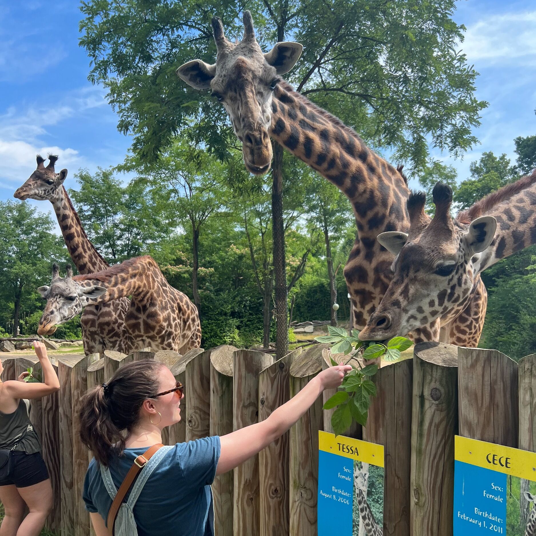 Picture of Cincinnati Zoo & Botanical Garden