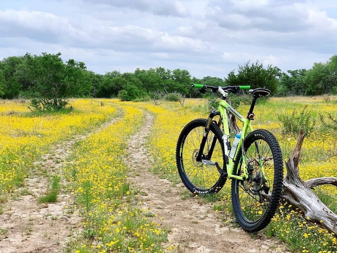 Picture of Reimers Ranch Park