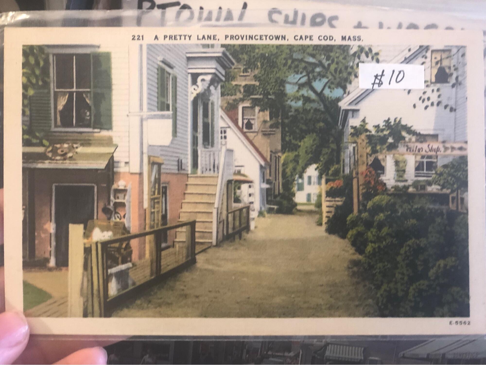 Album Photo 6