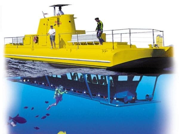 Picture of Reefdancer