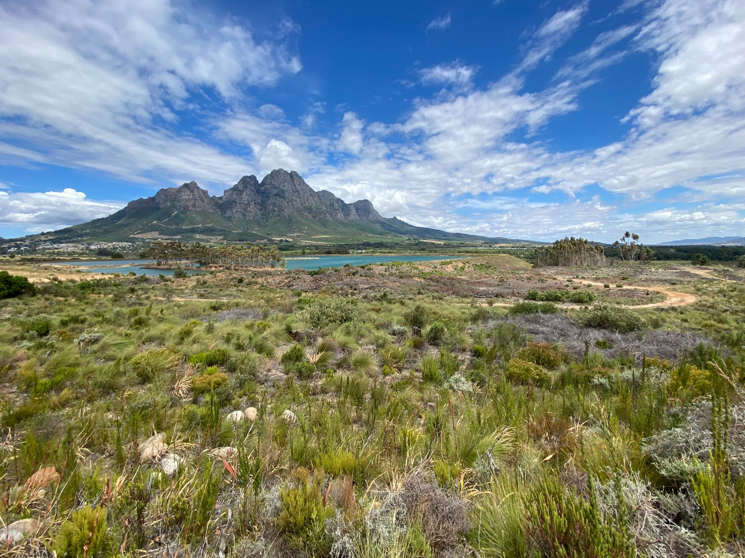 Picture of Things to do outside Cape Town