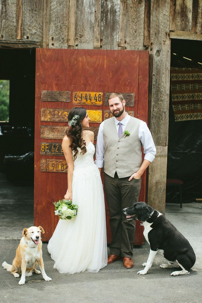 Bride and Groom with Their Pet Dogs