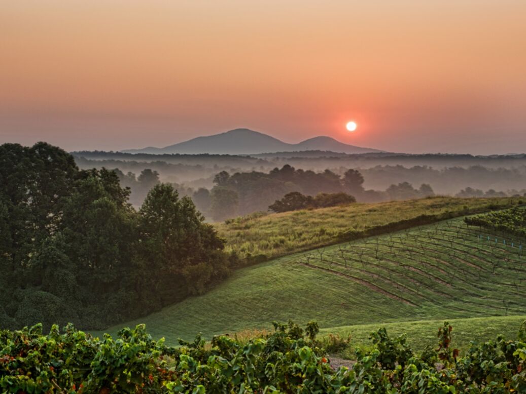 Picture of Kaya Vineyard & Winery