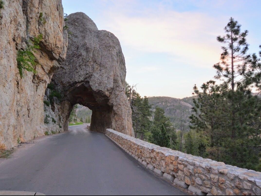 Picture of Needles Highway