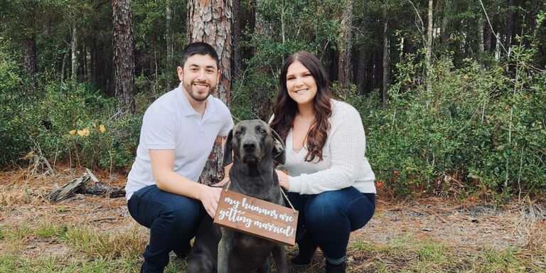 Alexis & Alexander Home Page Banner